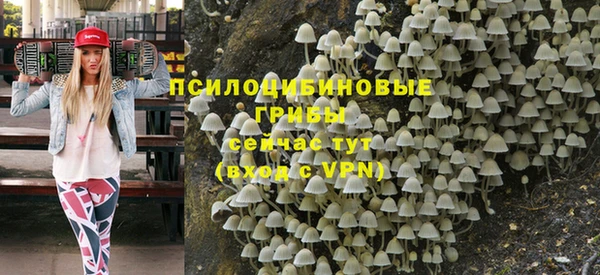 2c-b Кинешма
