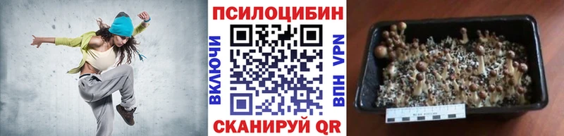 Галлюциногенные грибы ЛСД  Купить  Ульяновск 